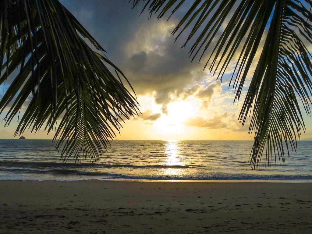 Marlin Waters Beachfront Apartments Palm Cove Szoba fotó