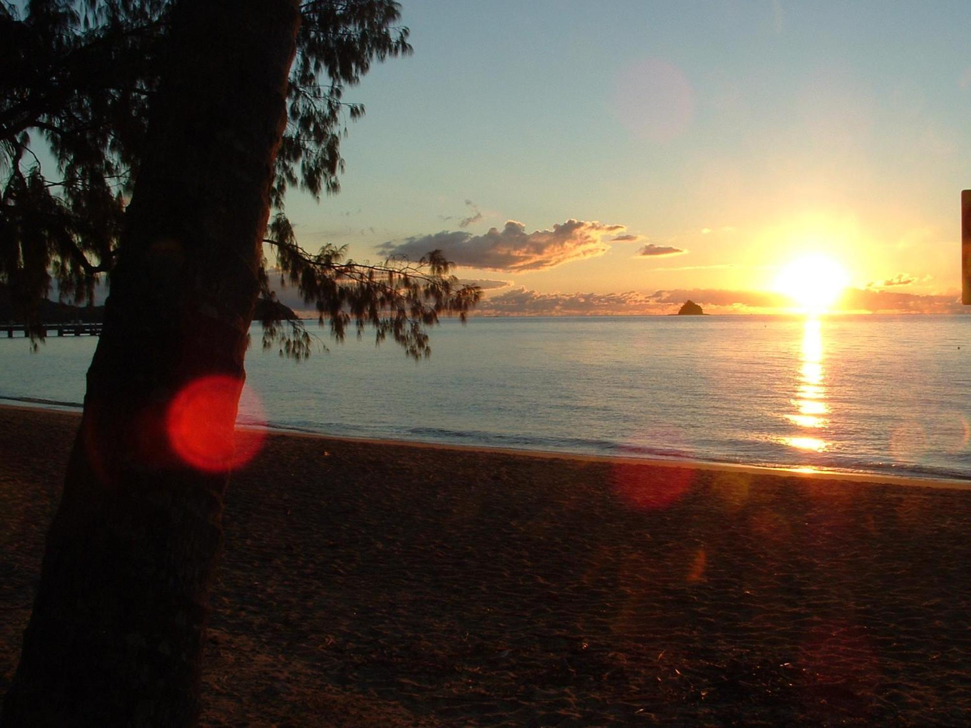 Marlin Waters Beachfront Apartments Palm Cove Kültér fotó