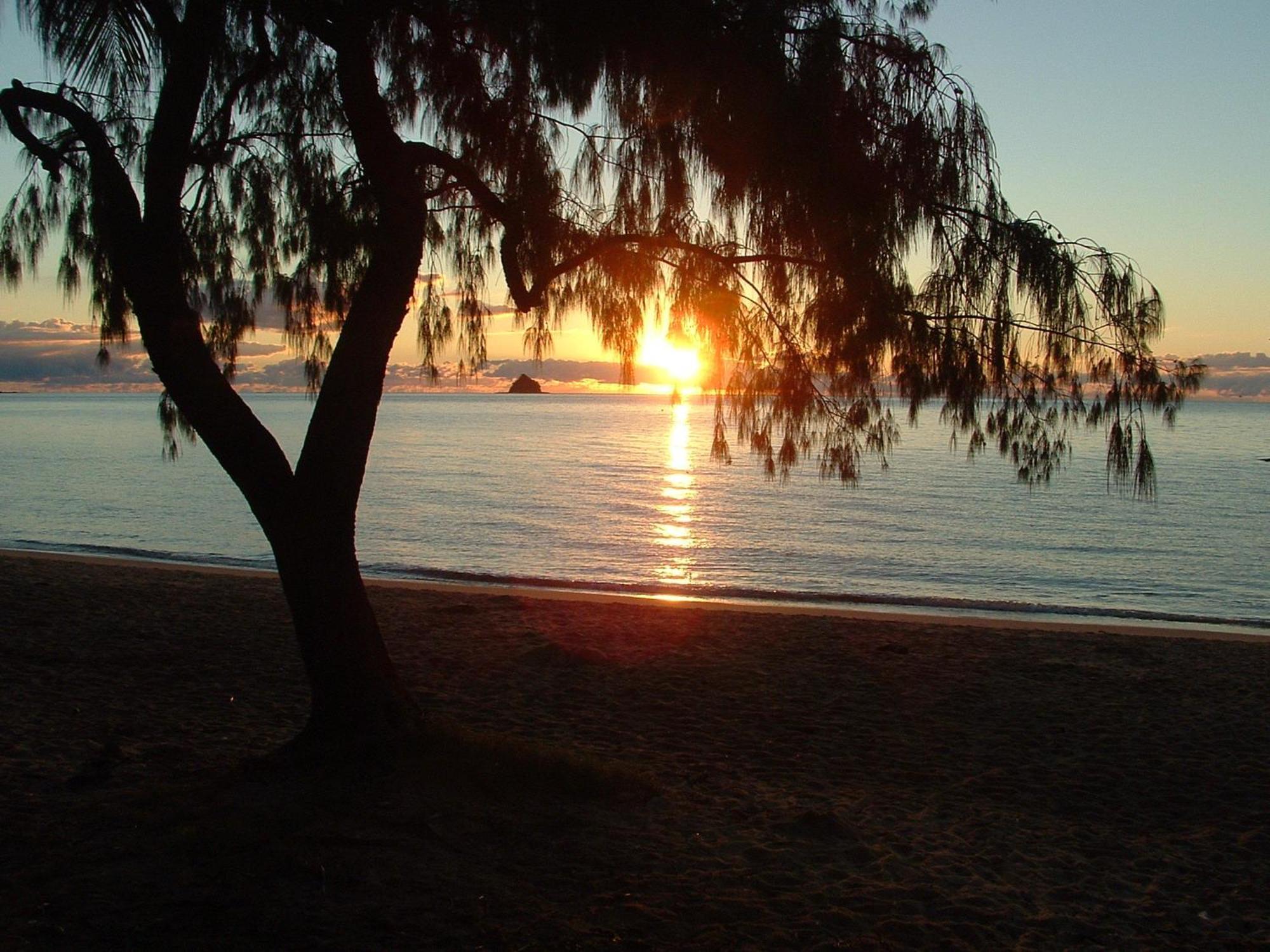 Marlin Waters Beachfront Apartments Palm Cove Kültér fotó