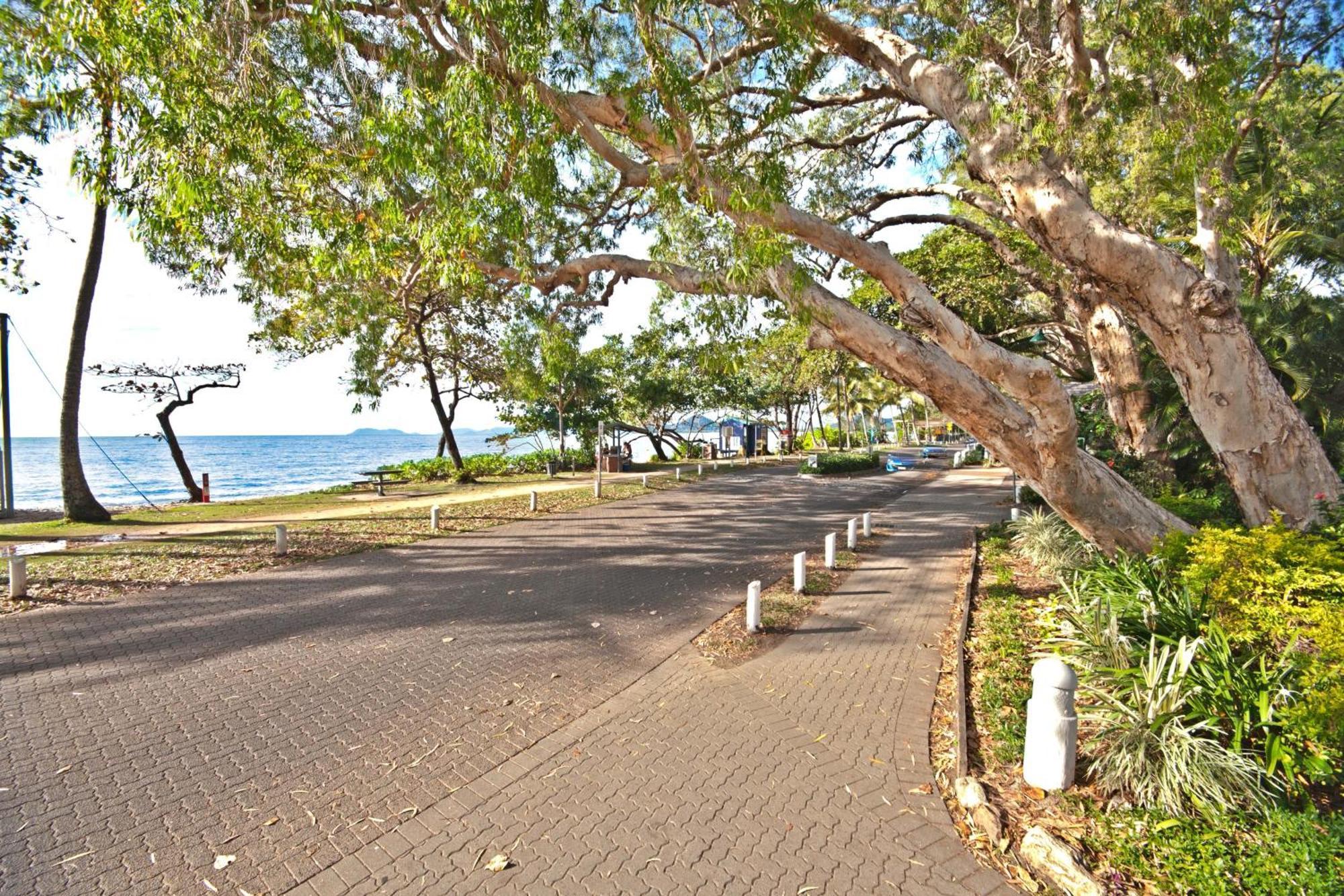 Marlin Waters Beachfront Apartments Palm Cove Kültér fotó