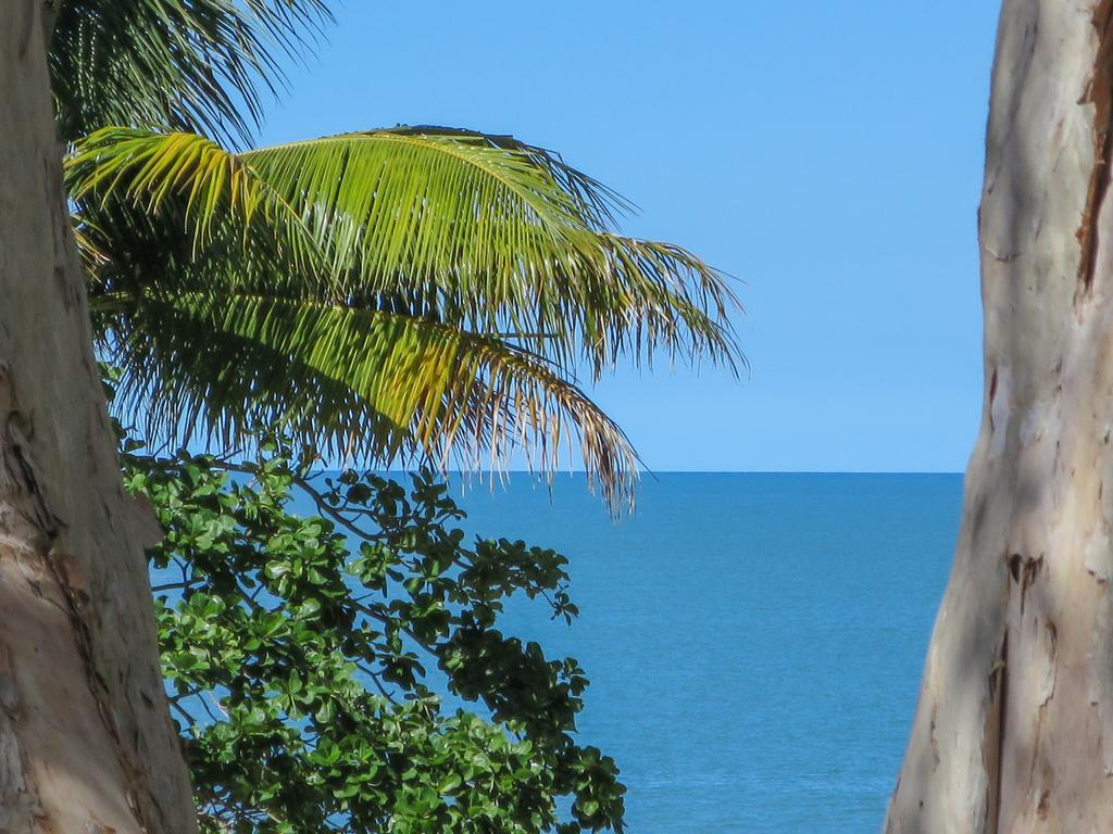 Marlin Waters Beachfront Apartments Palm Cove Kültér fotó