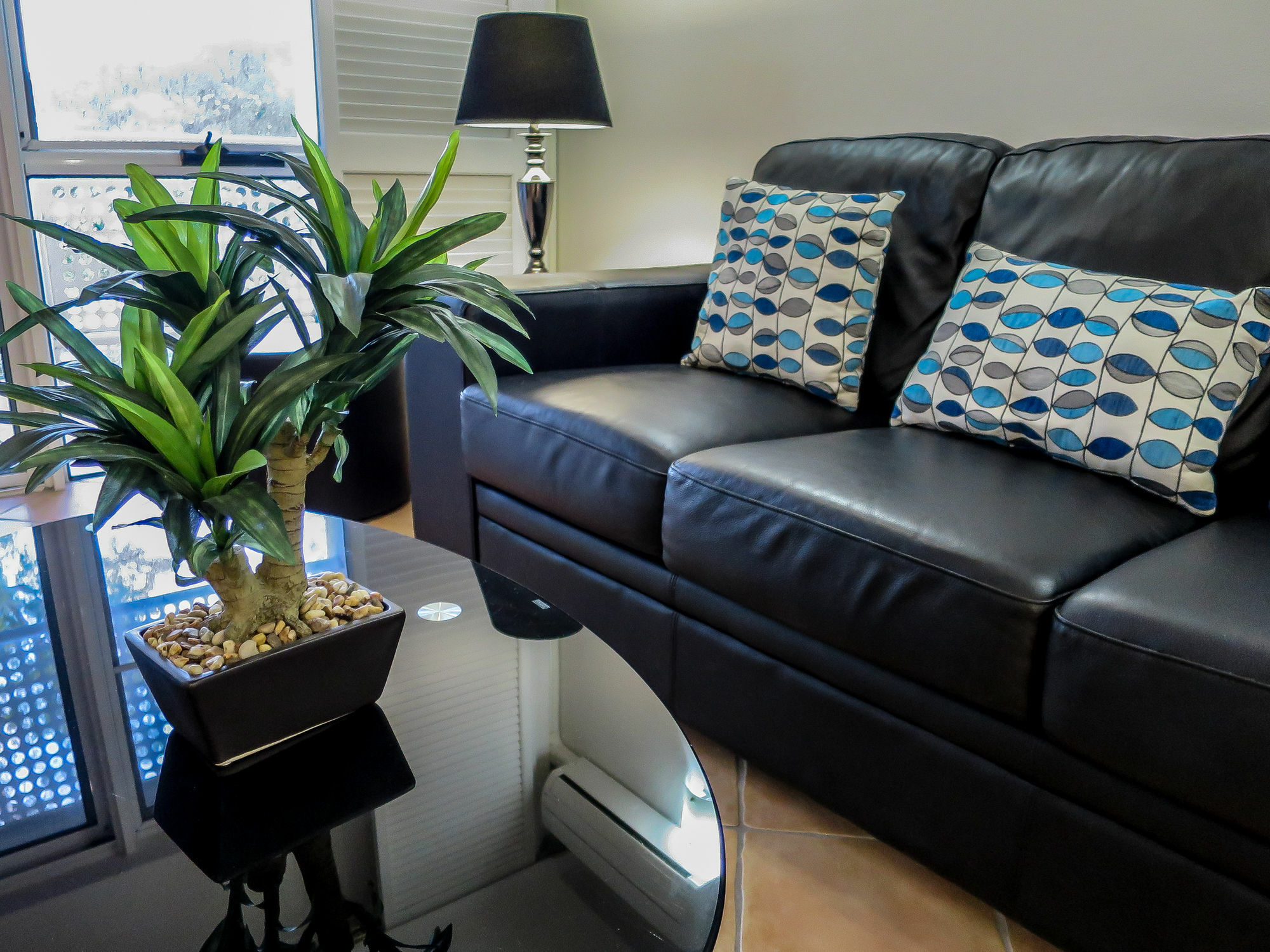 Marlin Waters Beachfront Apartments Palm Cove Kültér fotó