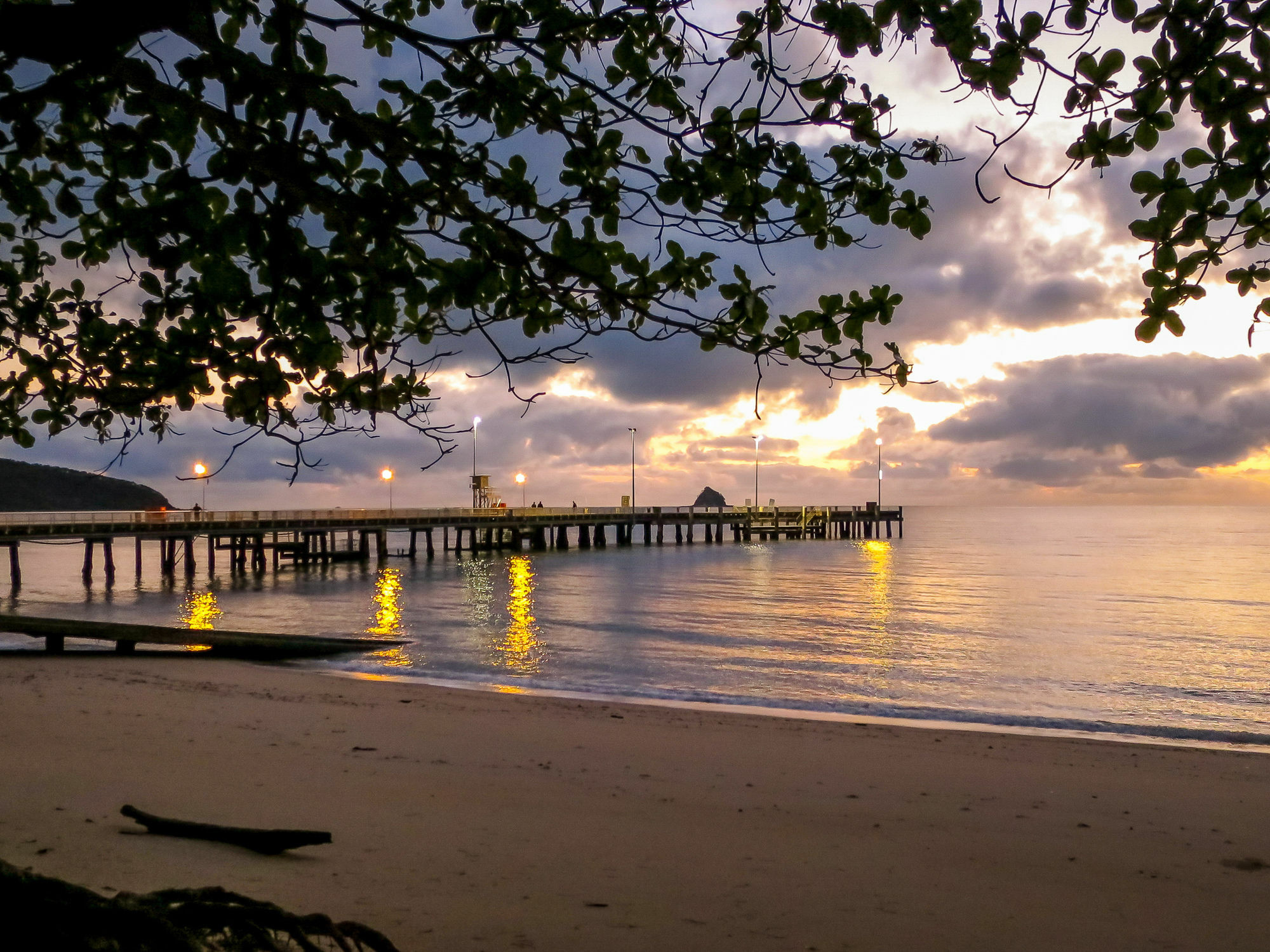 Marlin Waters Beachfront Apartments Palm Cove Kültér fotó