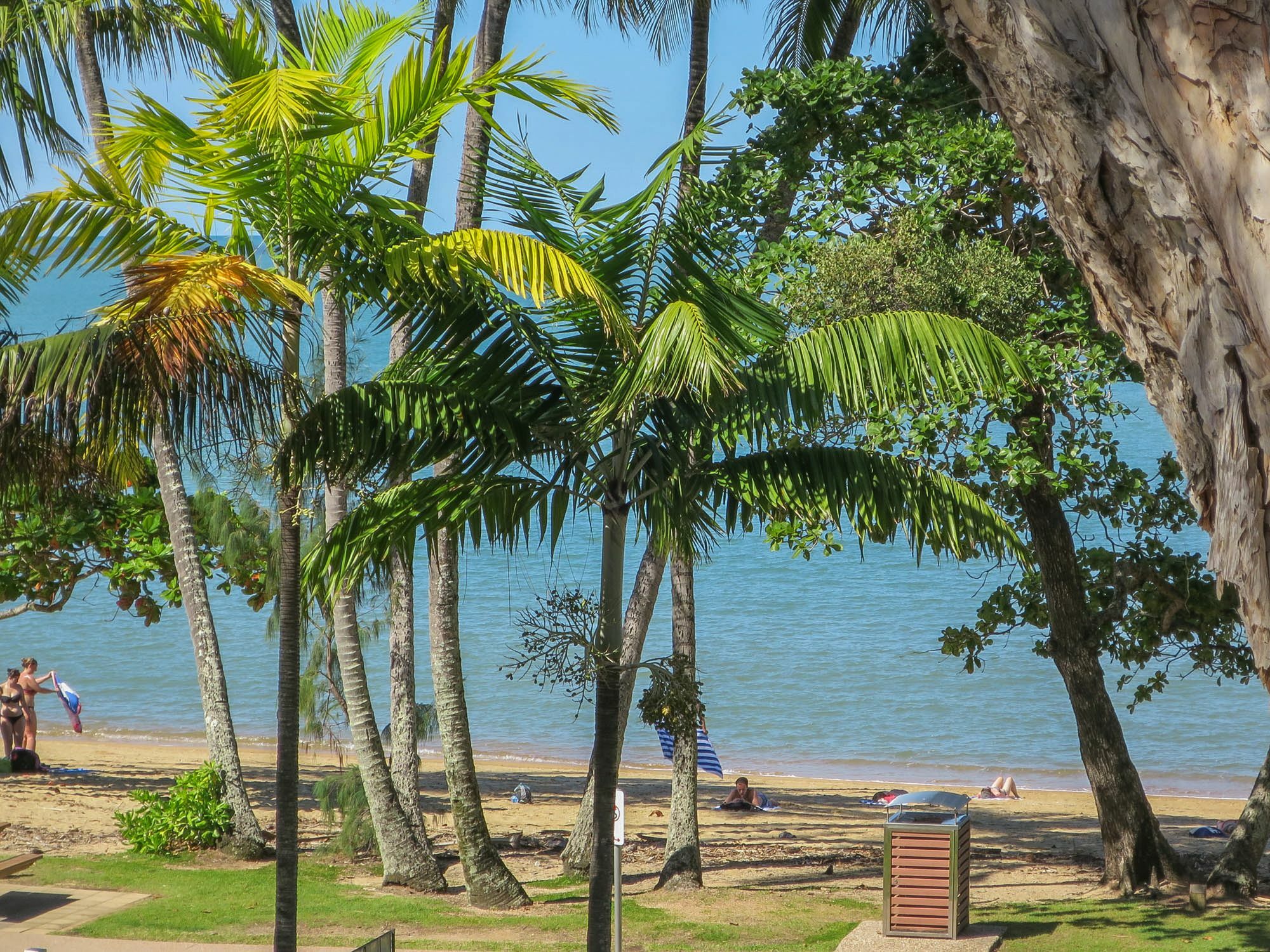 Marlin Waters Beachfront Apartments Palm Cove Kültér fotó